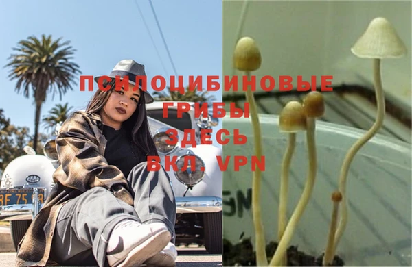 мяу мяу мука Алексин